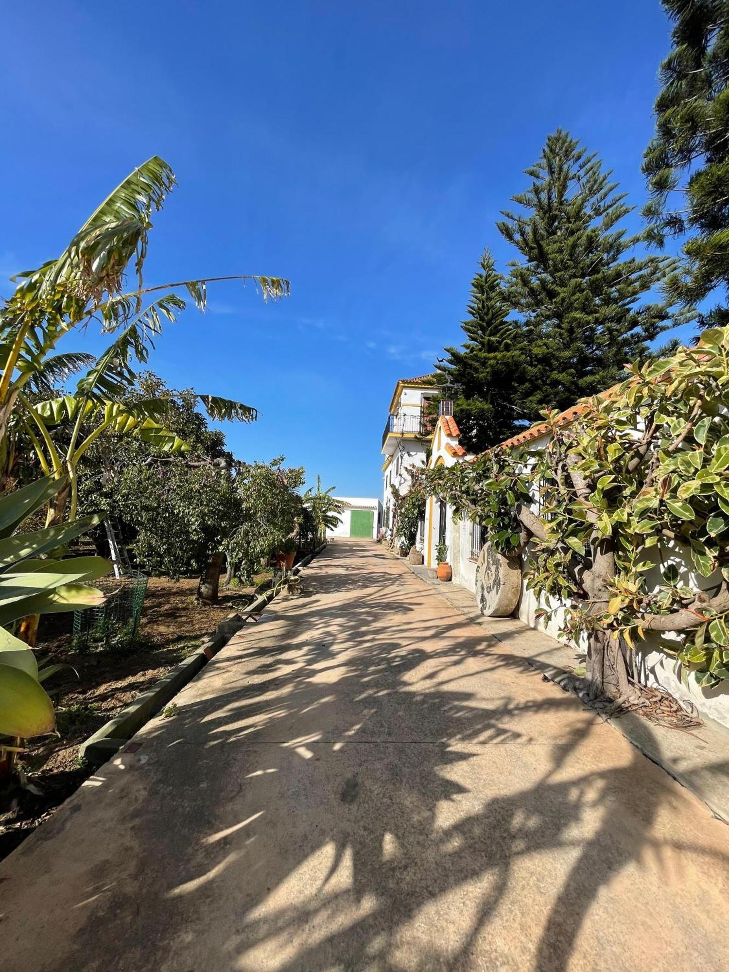 Finca La Tacita - Petunia Conil De La Frontera Extérieur photo